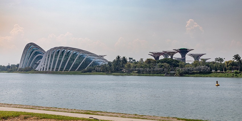 Distant view of Singapore's Gardens by the Bay showing the Supertree Grove and greenery.
