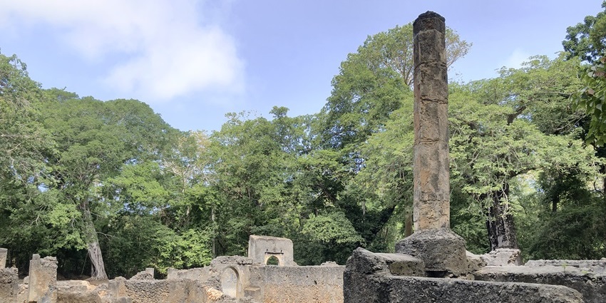 Coral stone ruins and ancient pathways at Gedi, surrounded by forest.