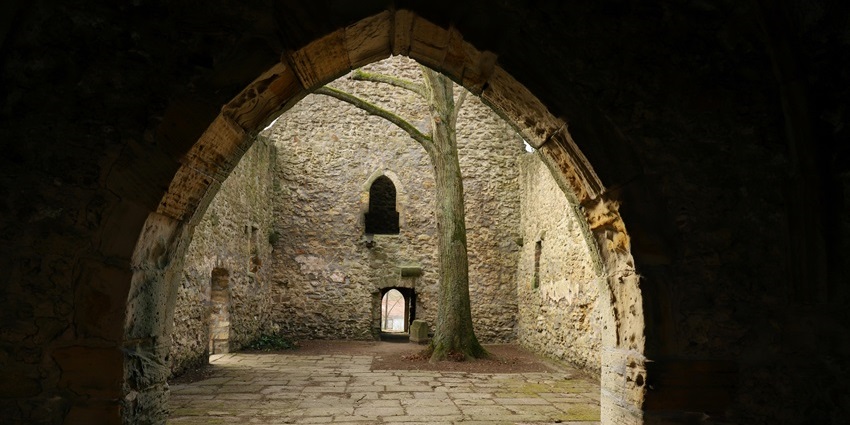 The interior of an old church with ruined old architecture, broken walls and a tree inside