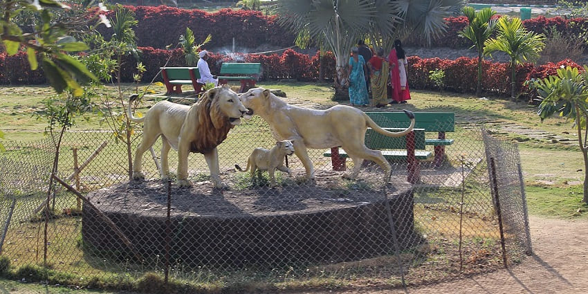The Gir National Park is one of the best places to visit in Gujarat in February.
