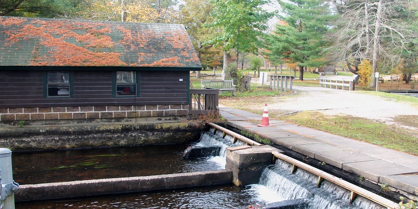 Things to do in East Islip include the Connetquot River State Park Preserve fishing pool.