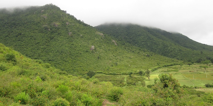 Lush green hills with mist-covered slopes under a cloudy sky, amongst the top places to visit in Karnataka in November.