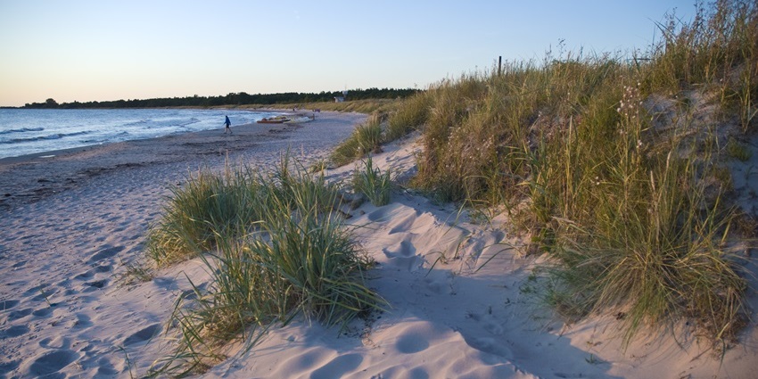 Islands in Sweden feature medieval history, seaside cliffs, and unique limestone formations on Gotland.