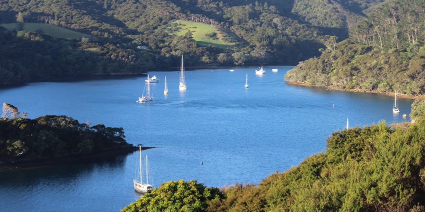 View of dark-sky reserves on Great Barrier Island, among the best islands in New Zealand.