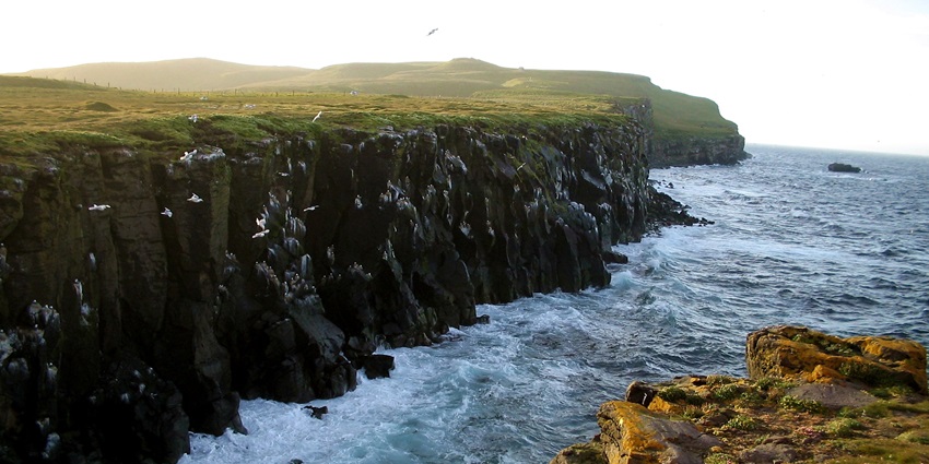 Arctic Circle on Grímsey, known for birdwatching, among the best islands in Iceland.