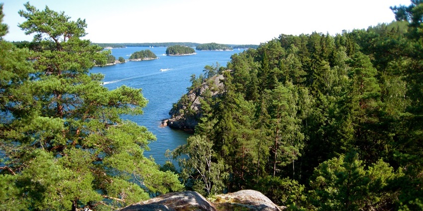 Reconnect with nature while exploring serene forests on peaceful Grinda, among the famous islands in Sweden.