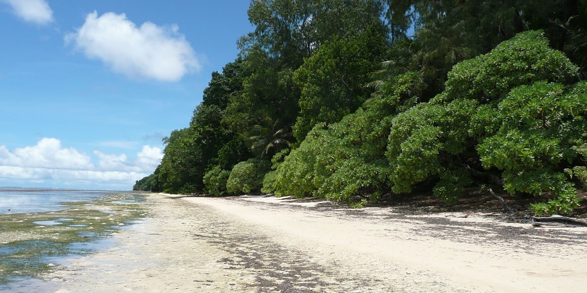 Tranquil view of Guitar Island Beach with clear blue water and white sandy shore