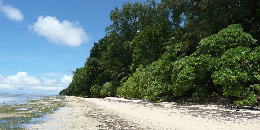 Zavikon Island in the Thousand Islands is surrounded by deep blue water under a clear sky.
