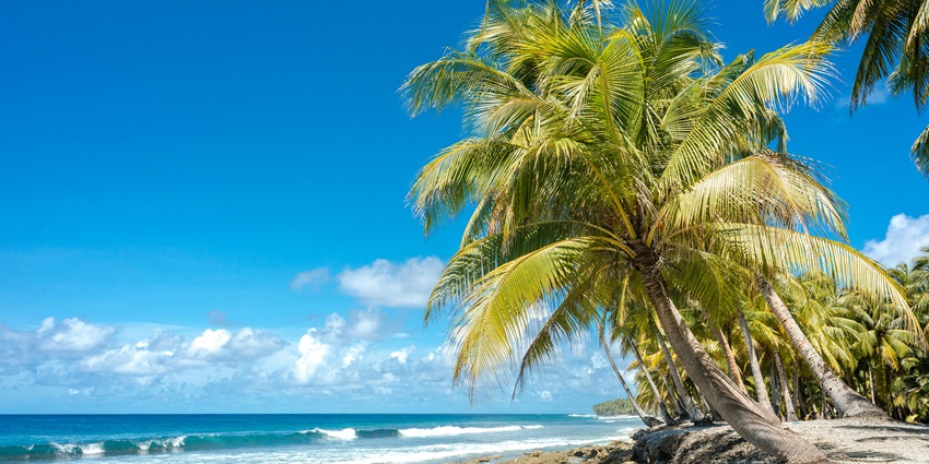 Scenic view of Haa Alif Utheemu island showcasing tropical beauty and heritage