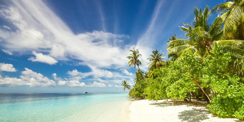 Hanifaru Bay with sandy shores, green trees under the clear blue sky.