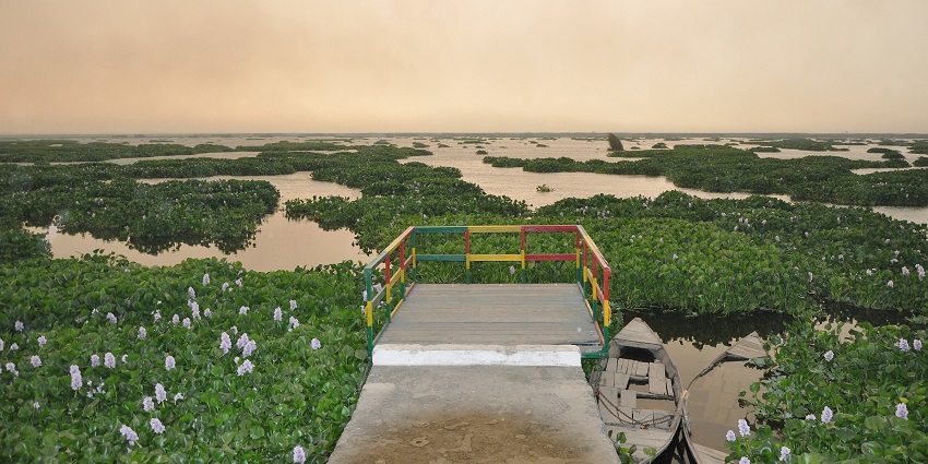 Scenic wetlands of Harike in Tarn Taran district, home to migratory birds, lush marshes