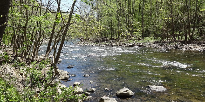 Hiking a vast park with wooded trails, waterfalls, and river crossings ideal for outdoor adventures, one of the best things to do in Elkridge MD.
