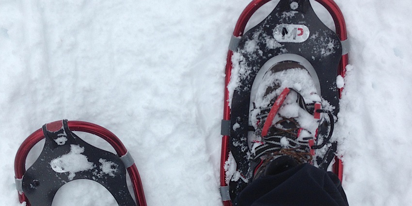 Enjoy snow-dusted trails and winter serenity while snowshoeing in Millcreek Canyon.