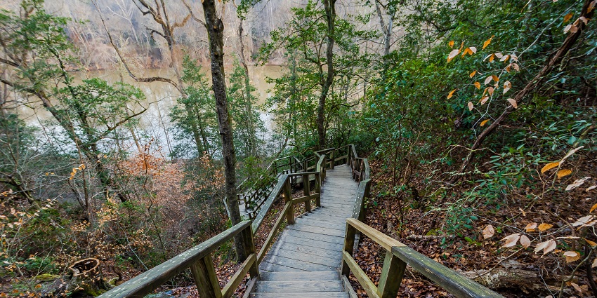 Stairs at the River at Raven Rock State Park overlooking scenic cliffs, forest trails.