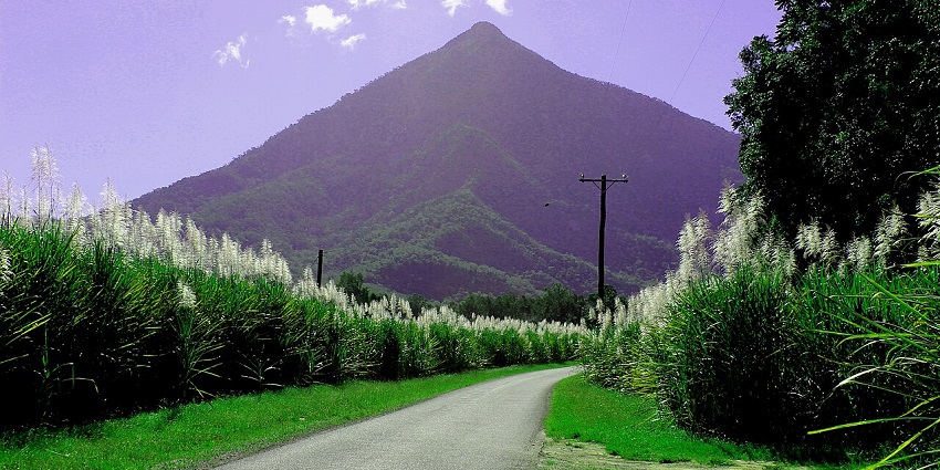 Steep natural pyramid rising above trees - one of the things to do in Far North Queensland.

