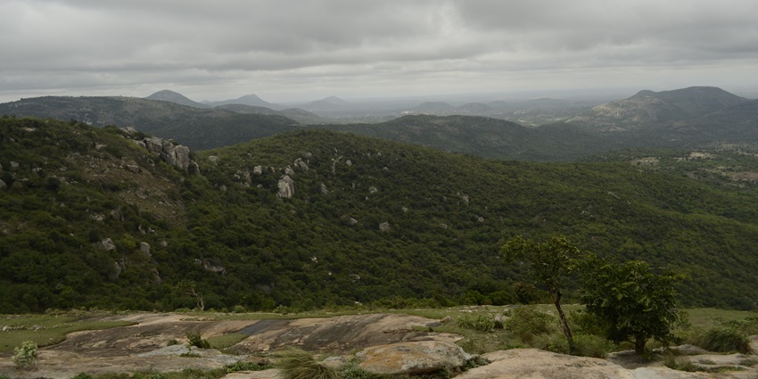 Lush green hills and misty valleys at Horsley Hills, a peaceful Andhra Pradesh getaway