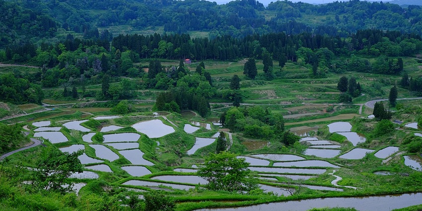 Hoshitoge rice terraces with step rice farms, green trees and surrounded by green mountains