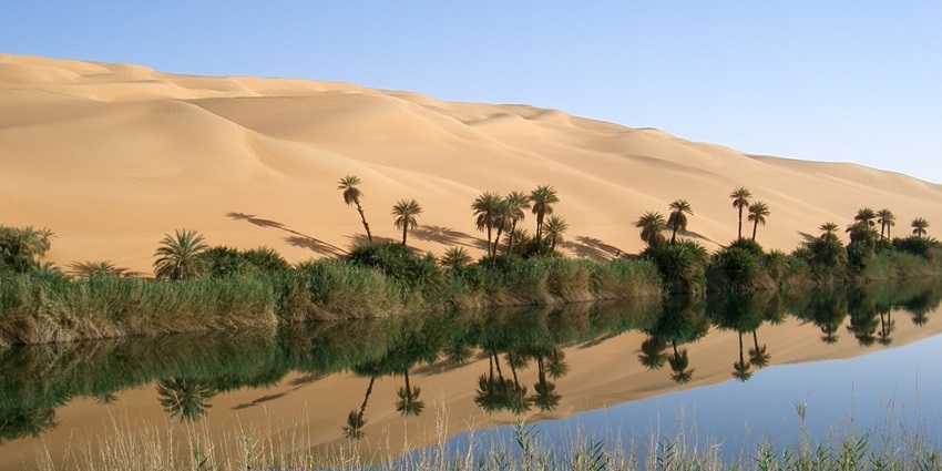 An enchanting desert oasis surrounded by greenery, one of the hidden places in the world.