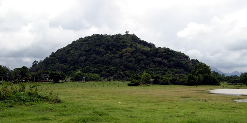 Ancient stone tombs surrounded by greenery in Ibbankatuwa near Dambulla.