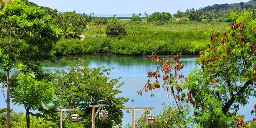Lounge on pristine beaches and explore quiet coves on idyllic Île-à-Vache, among the top islands in Haiti.