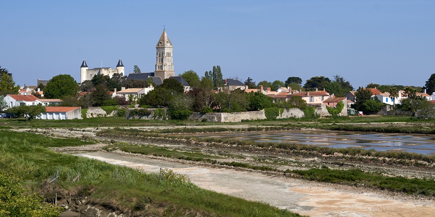 Panoramic view of Noirmoutier-en-l'Île with medieval castle and white houses in sunlight.
