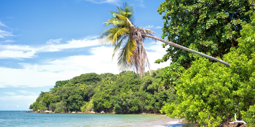 Relax in eco-lodges and wander barefoot on car-free roads on the idyllic island of Boipeba