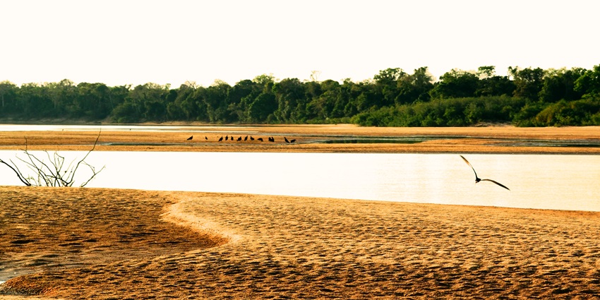 The world’s largest river island, home to indigenous tribes and incredible biodiversity.