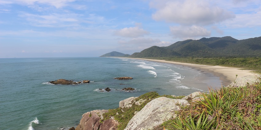Immerse yourself in rainforest trails and hidden beaches on the untouched Ilha do Cardoso