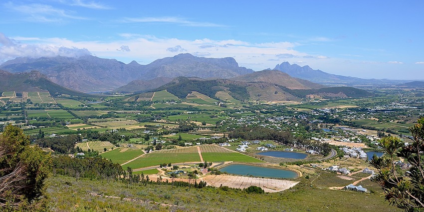 Enjoy gourmet meals and fine wines at elegant restaurants in the Franschhoek valley.