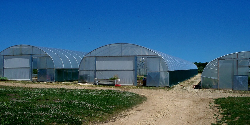 Savour fresh farm-to-table meals, organic produce, and artisan goods at Daylesford’s luxurious farm shop.