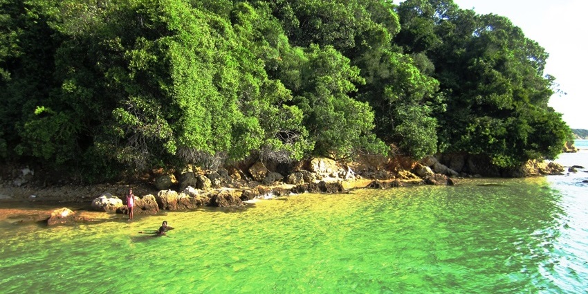 Explore mangroves, dive shipwrecks, and encounter dolphins near Inhaca Island.