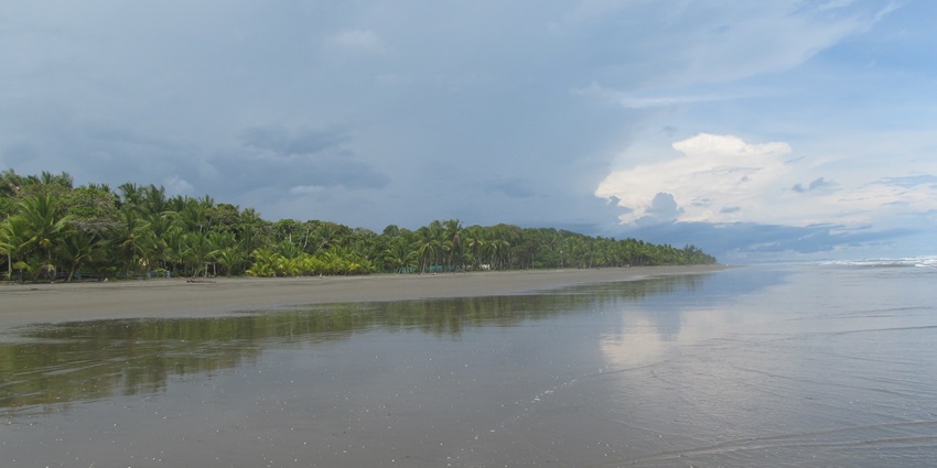 Unwind among wild nature, coconut palms, and peaceful sands at Isla Bejuco.