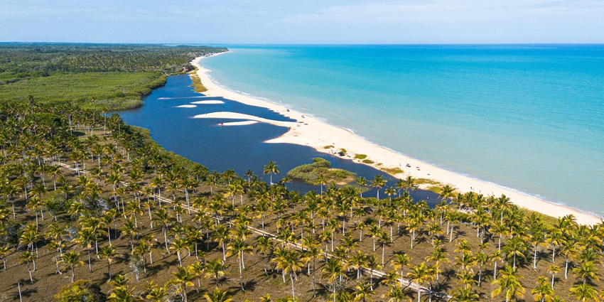 Experience unspoiled beaches and serene coastline on hidden Isla Cedros.