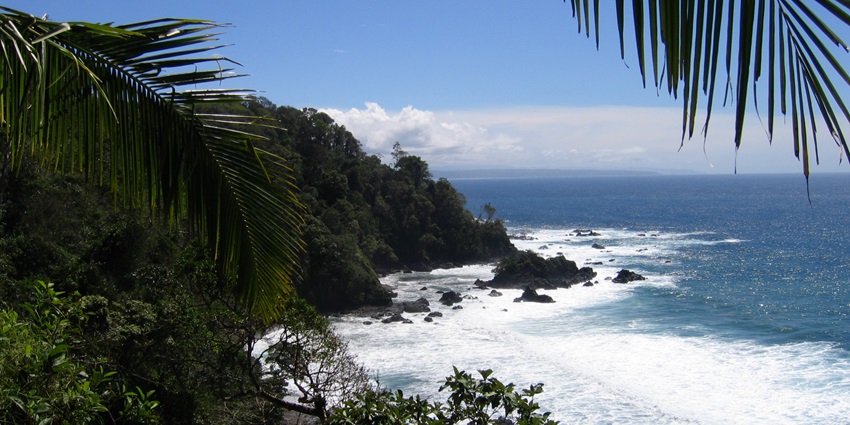 Snorkel clear waters and explore marine life at the Caño Island Biological Reserve.