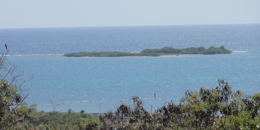 Enjoy local beach picnics and mangrove explorations on quiet Isla Ratones.