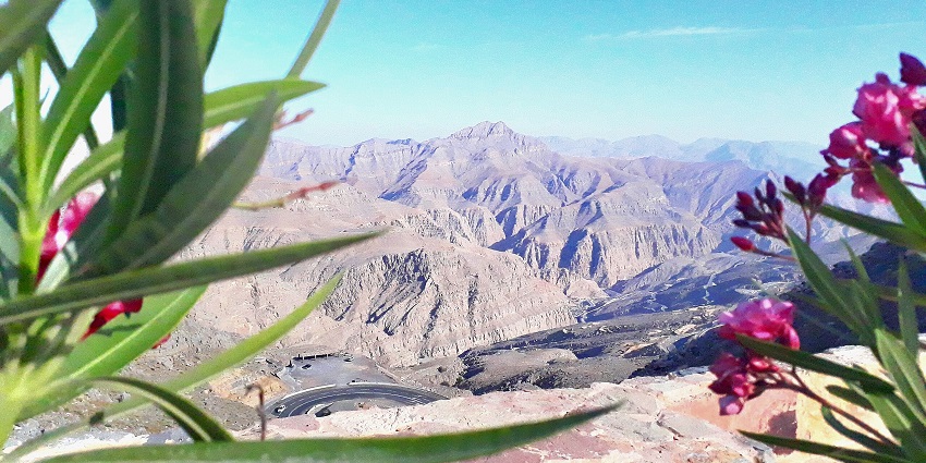The enchanting view of the magnificent Jebel Jais Mountain ranges, captured on a beautiful day.