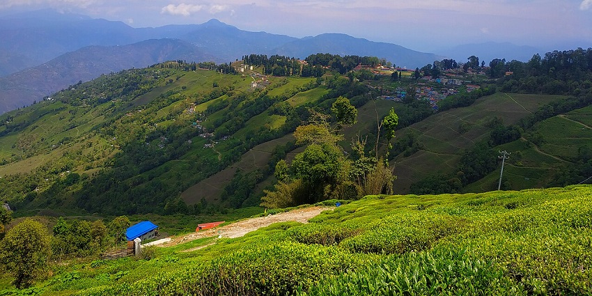 Darjeeling in monsoon with lush greenery and occasional rainfall.
