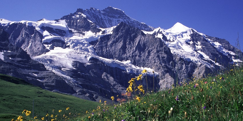 Reach Europe’s highest train station for snowy vistas, among the best things to do in Jungfrau.