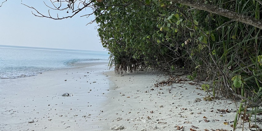 Scenic view of Kala Pathar Beach with clear waters and lush greenery on Havelock Island
