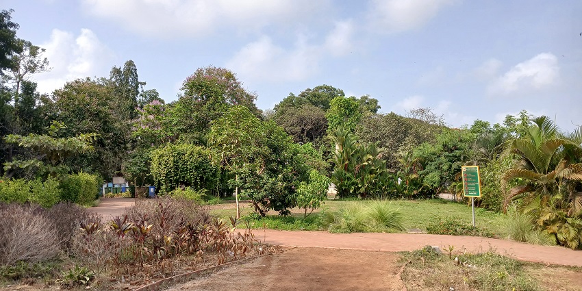 Lush green Kamala Nehru Park on Malabar Hill with topiary gardens and a Queen’s Necklace.