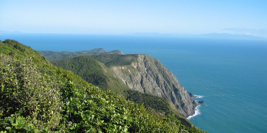 Birdwatchers and conservationists visit predator-free Kapiti Island for rare native species.