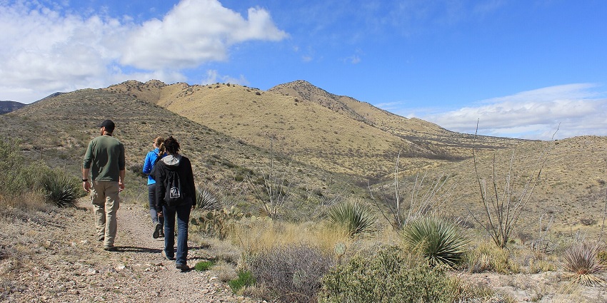 Hikers walk a desert trail surrounded by dry vegetation and mountains under a blue sky.