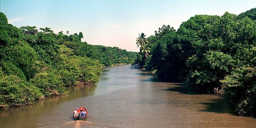 Enjoying kayaking in calm waters is among the relaxing things to do in Estero, Florida.