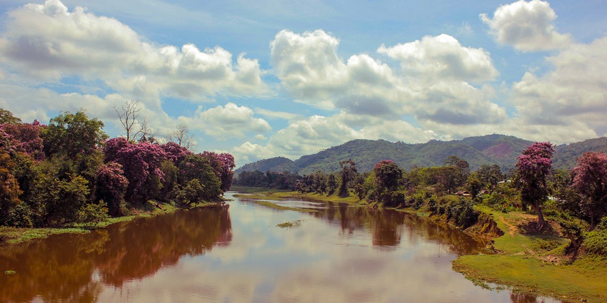 A river flowing in the Kaziranga National Park, surrounded by lush greenery, one of the top places to visit in Assam in December.