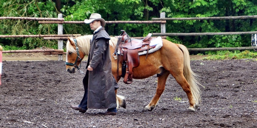 A rodeo event at the Fort Worth Stock Show with spectators and cowboys competing in traditional events are things to do in Texas.