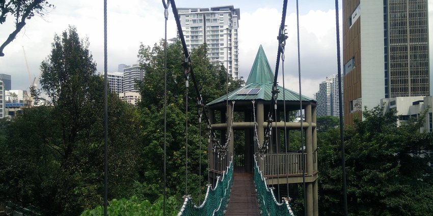 A grand bridge amidst the Kuala Lumpur Forest Eco Park leads towards a canopy.