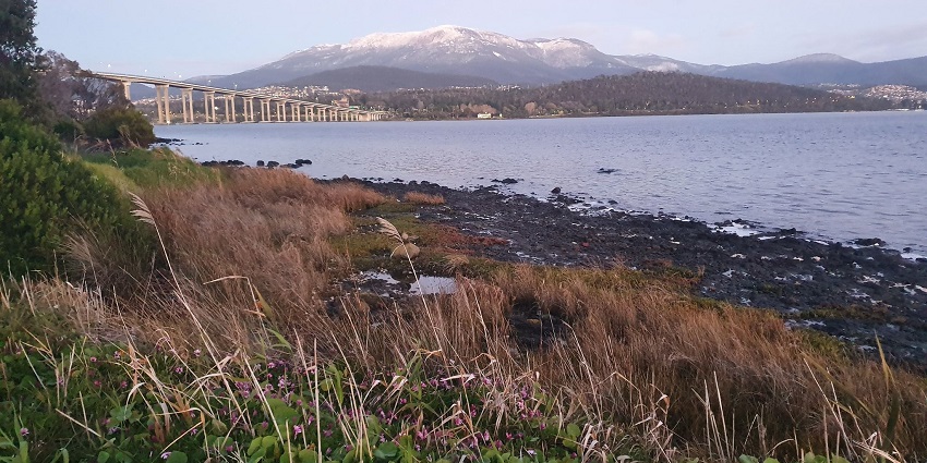 Drive or hike to the summit for sweeping views over Hobart and the southern Tasmanian coastline.