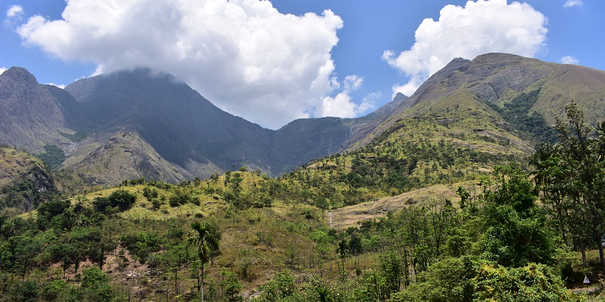 Scenic view of the lush green Western Ghats with deep valleys and mist-covered mountains.
