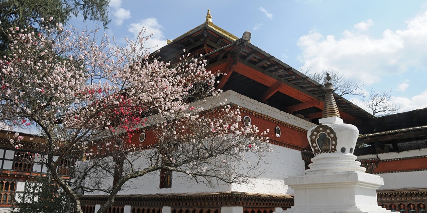 This peaceful temple with prayer wheels and a flowered courtyard stands as one of the oldest monuments in Bhutan.