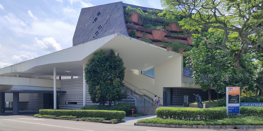 Singapore’s natural history museum at NUS displays dinosaur skeletons, Southeast Asian biodiversity, and marine life specimens.
